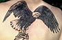 Tattoo Adler