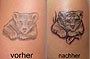 Tattoo Verbesserung kleiner Tiger