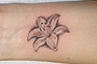 Tattoo Lilienblüte