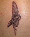 Tattoo Rabenschädel mit Feder