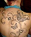 Tattoo Ranke mit Schmetterlingen