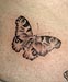 Tattoo Schmetterling