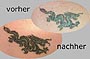 Tattoo Verschönerung Drache