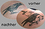 Tattoo Verschönerung Rabe
