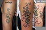 Tattoo Verschönerung Schlange