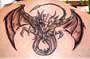 Drachentattoo