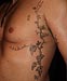 Tattoo Efeuranke
