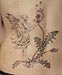 Tattoo Elfe mit Pusteblume