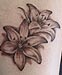 Lilientattoo