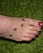 Tattoo Pfotenabdrücke