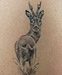 Tattoo Rehbock