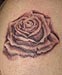 Rosentattoo