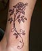 Tattoo Rosenranke