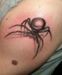 Tattoo Spinne