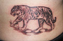 Tattoo Tiger