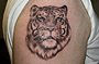 Tattoo Tiger