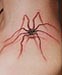 Tattoo Weberknecht