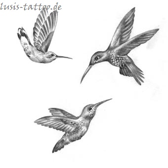 Tattoomotiv Kolibris