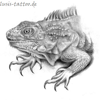 Tattoomotiv Leguan